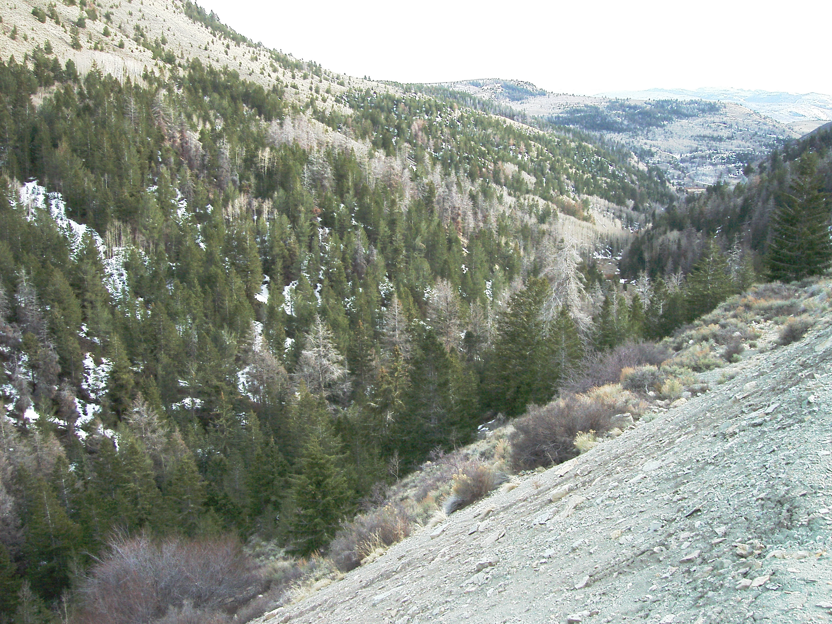 Argyle Canyon 10 Ac.